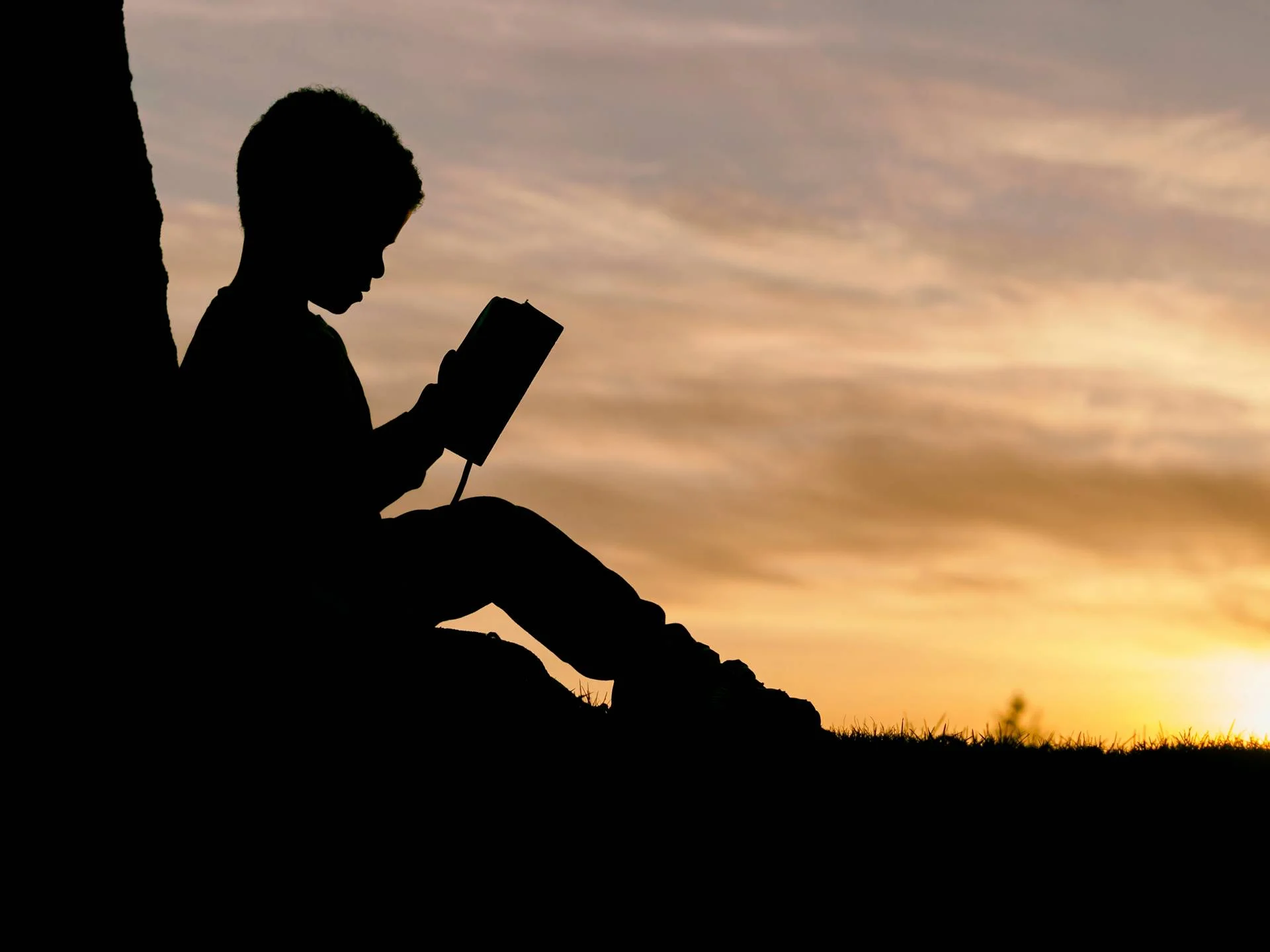 Support Orphans through nabir foundation Blog